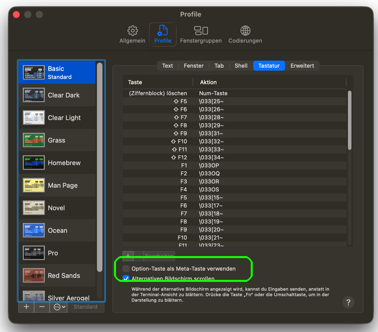 Screenshot Terminal Settings (german)